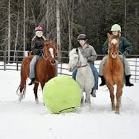 Конный спорт