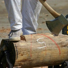 Рубка древесины