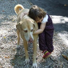 Сострадательный