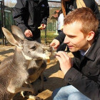 Любит животных