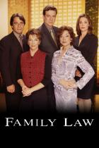 Семейный закон (1999 – 2002)