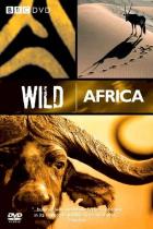 BBC: Дикая Африка (мини–сериал)