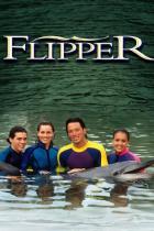 Флиппер (1995 – 2000)